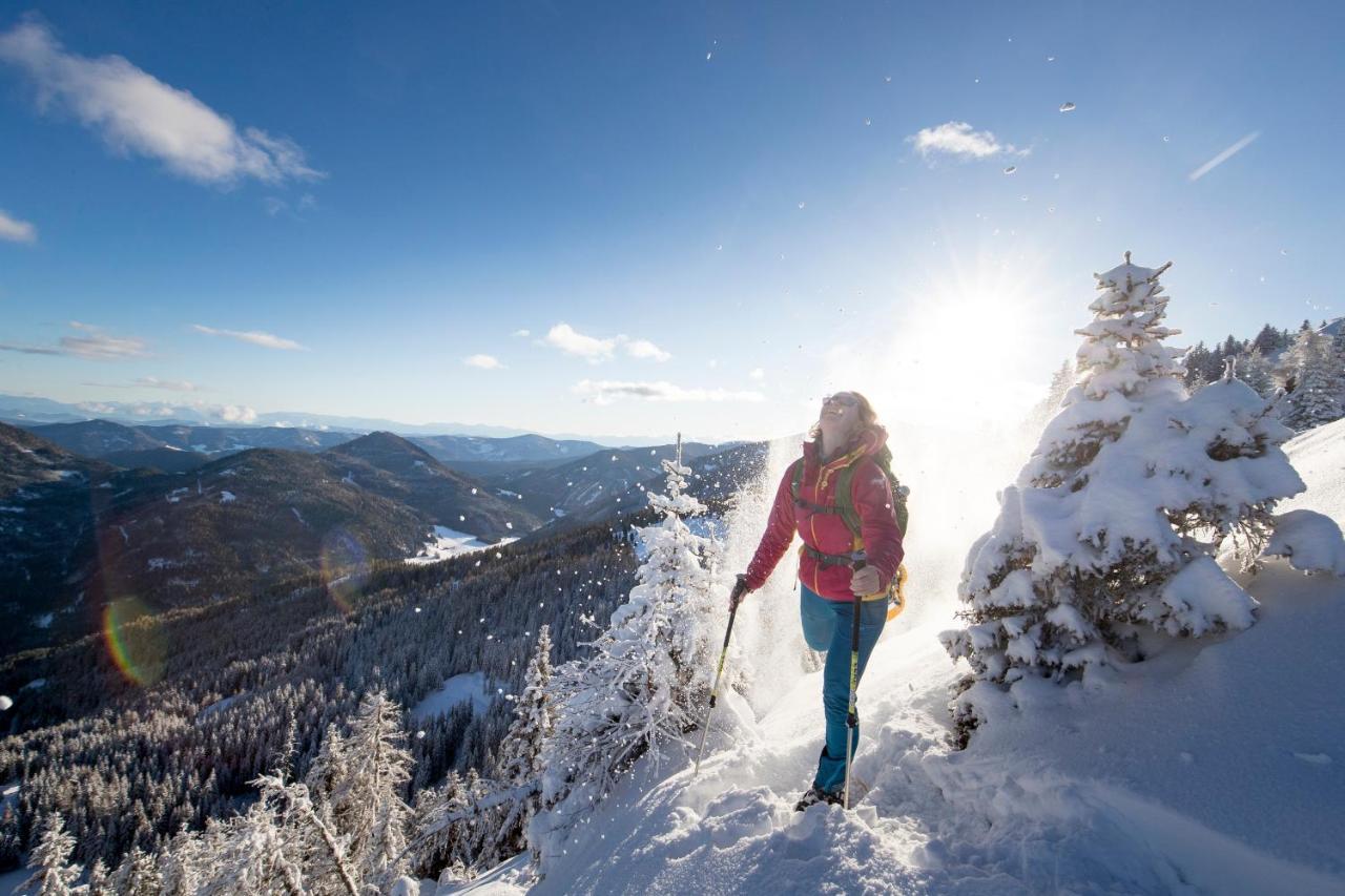 Urlaub Am Bauernhof Gaenser Sankt Peter am Kammersberg ภายนอก รูปภาพ